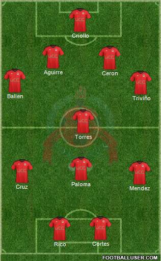 Al-Rayyan Sports Club Formation 2014
