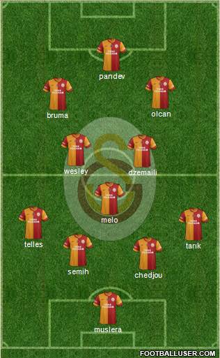 Galatasaray SK Formation 2014