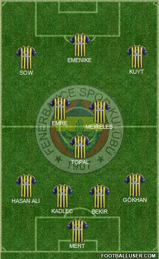 Fenerbahçe SK Formation 2014