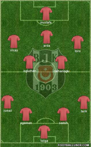 Besiktas JK Formation 2014