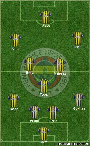 Fenerbahçe SK Formation 2014