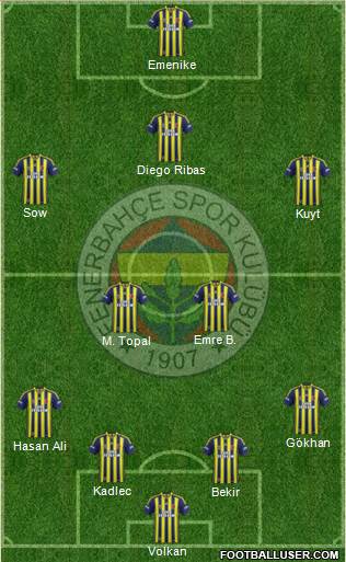 Fenerbahçe SK Formation 2014