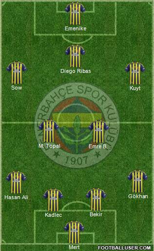 Fenerbahçe SK Formation 2014