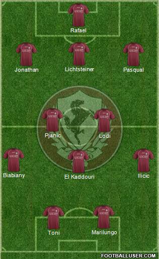 Arezzo Formation 2014