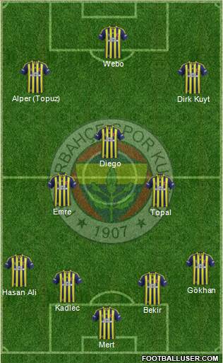 Fenerbahçe SK Formation 2014