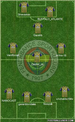 Fenerbahçe SK Formation 2014