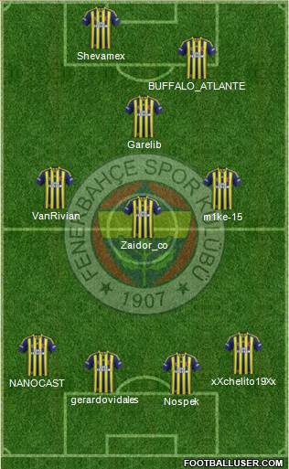 Fenerbahçe SK Formation 2014