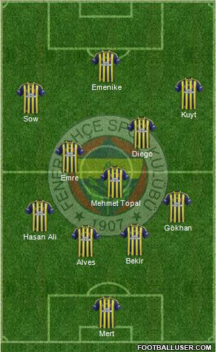 Fenerbahçe SK Formation 2014
