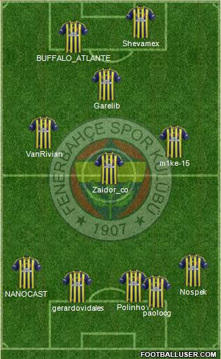 Fenerbahçe SK Formation 2014