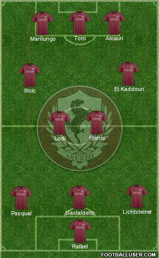 Arezzo Formation 2014