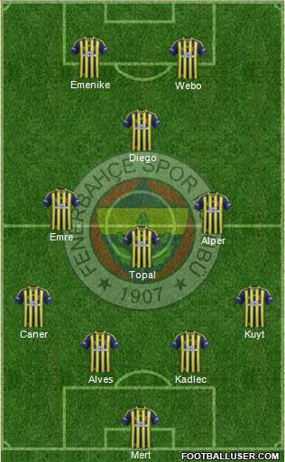 Fenerbahçe SK Formation 2014