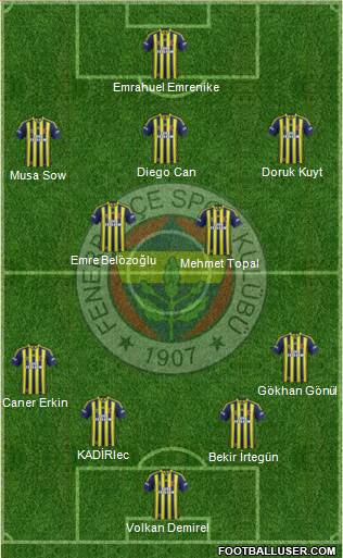 Fenerbahçe SK Formation 2014