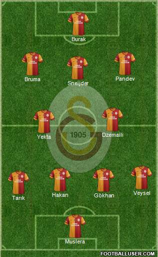 Galatasaray SK Formation 2014