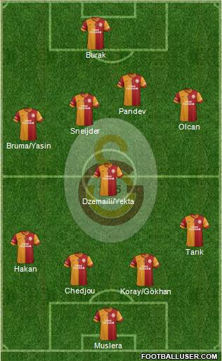 Galatasaray SK Formation 2014