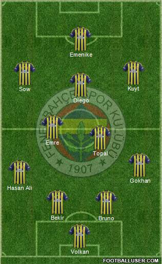 Fenerbahçe SK Formation 2014