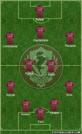 Arezzo Formation 2014