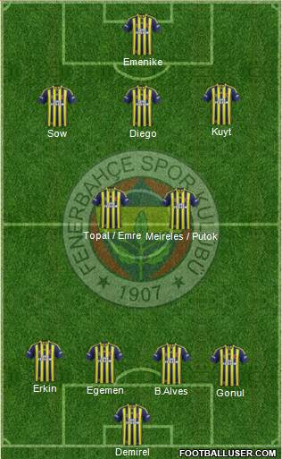 Fenerbahçe SK Formation 2014