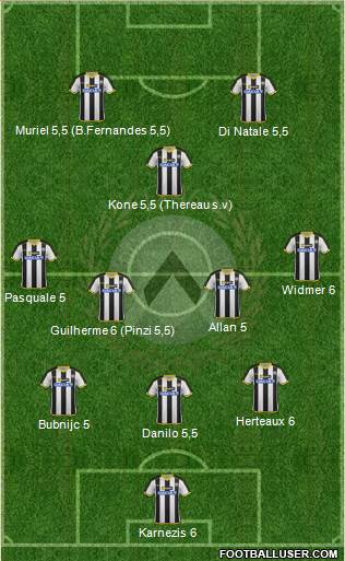 Udinese Formation 2014