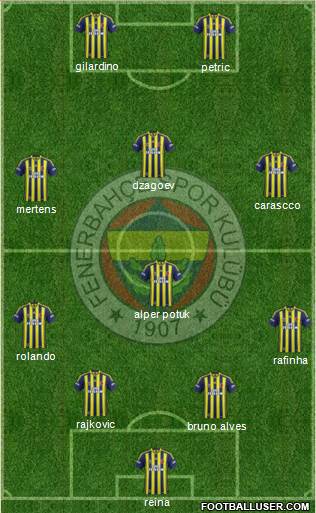 Fenerbahçe SK Formation 2014