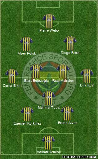 Fenerbahçe SK Formation 2014