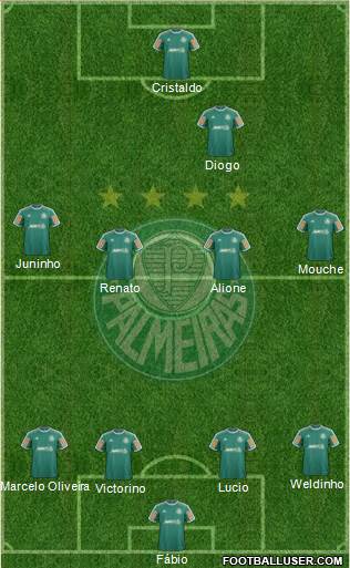 SE Palmeiras Formation 2014