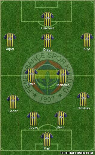 Fenerbahçe SK Formation 2014