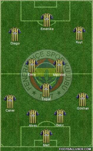 Fenerbahçe SK Formation 2014