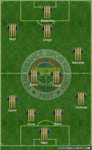 Fenerbahçe SK Formation 2014