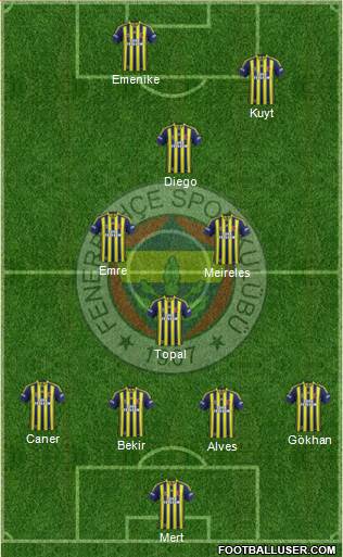Fenerbahçe SK Formation 2014