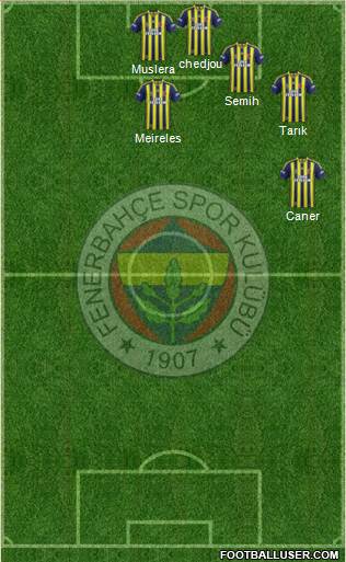 Fenerbahçe SK Formation 2014