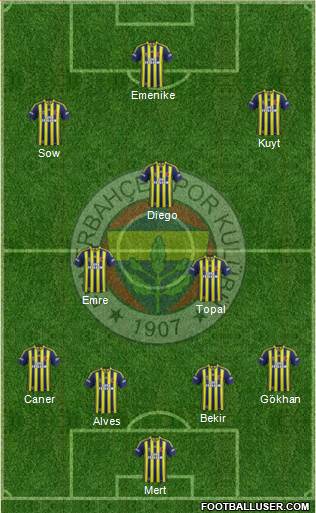 Fenerbahçe SK Formation 2014