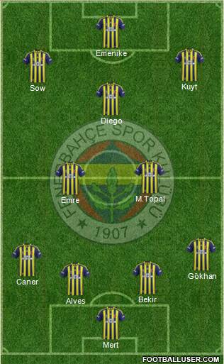 Fenerbahçe SK Formation 2014