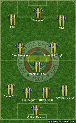 Fenerbahçe SK Formation 2014