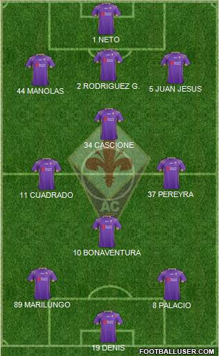 Fiorentina Formation 2014