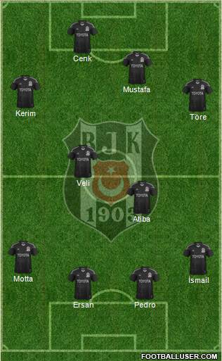 Besiktas JK Formation 2014