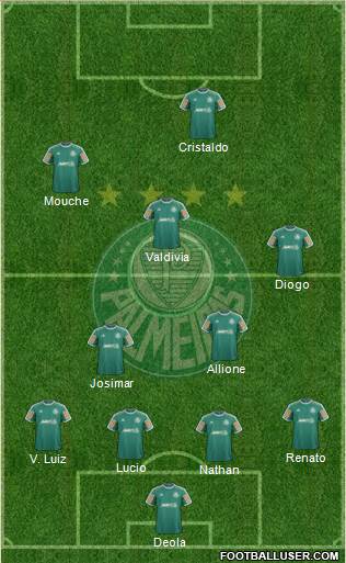 SE Palmeiras Formation 2014