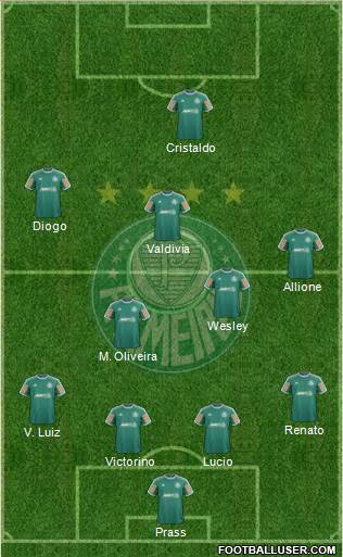 SE Palmeiras Formation 2014