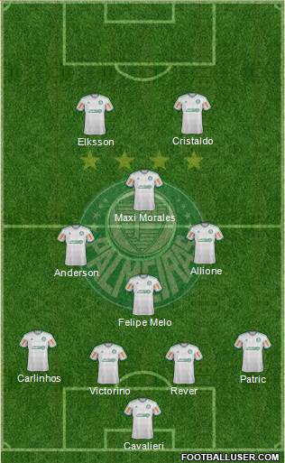 SE Palmeiras Formation 2014
