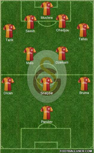 Galatasaray SK Formation 2014