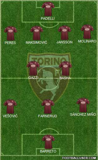 Torino Formation 2014