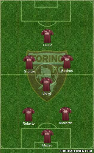 Torino Formation 2014