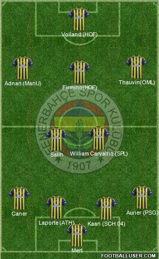 Fenerbahçe SK Formation 2014