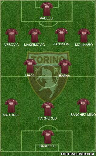 Torino Formation 2014