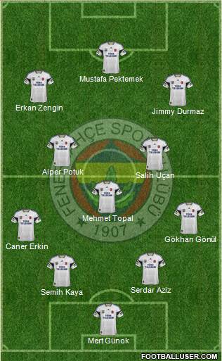 Fenerbahçe SK Formation 2014
