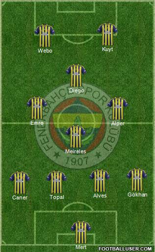 Fenerbahçe SK Formation 2014