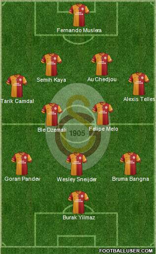 Galatasaray SK Formation 2014