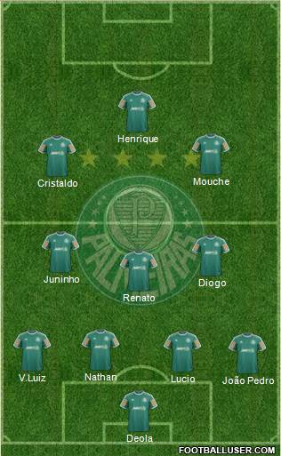 SE Palmeiras Formation 2014