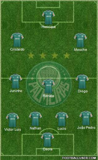 SE Palmeiras Formation 2014