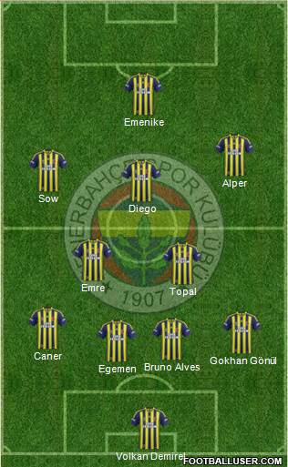 Fenerbahçe SK Formation 2014