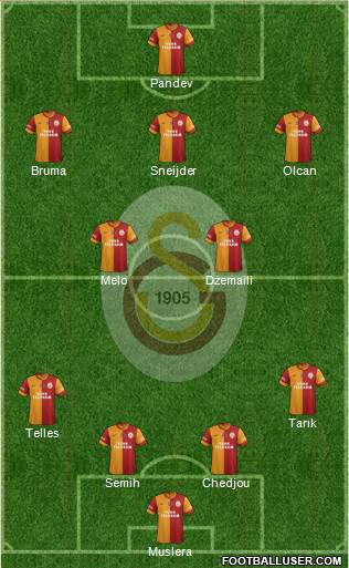 Galatasaray SK Formation 2014
